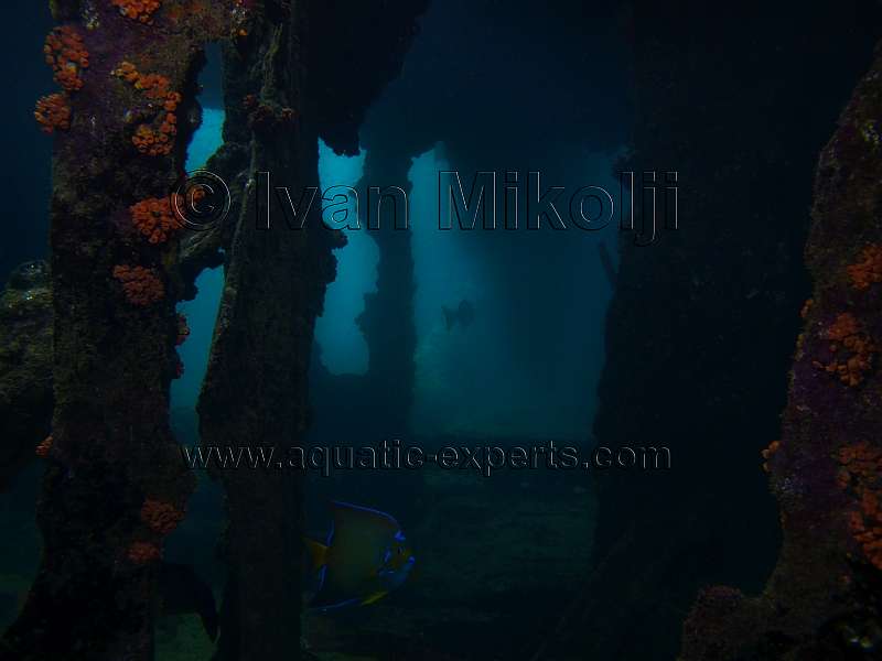 isla larga barco hundido